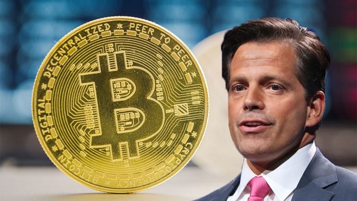 Picture of Anthony Scaramucci with a bitcoin next to him