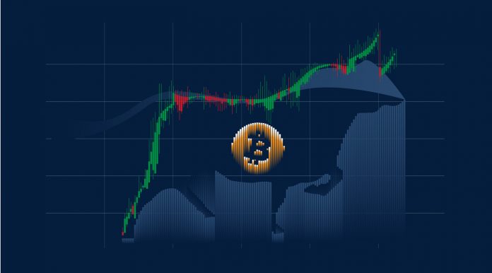 bitcoin bull cycle