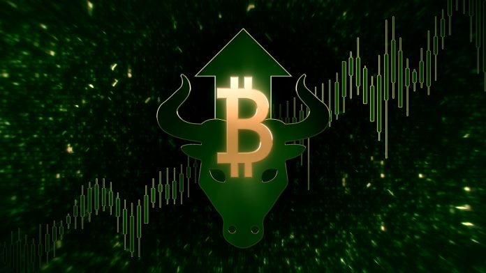 bitcoin bull trend