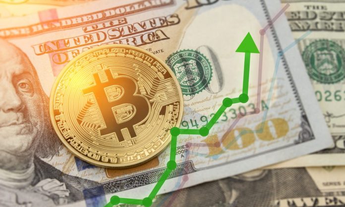 Picture of a bitcoin laying on a $100 bill, with a green upward arrow next to it