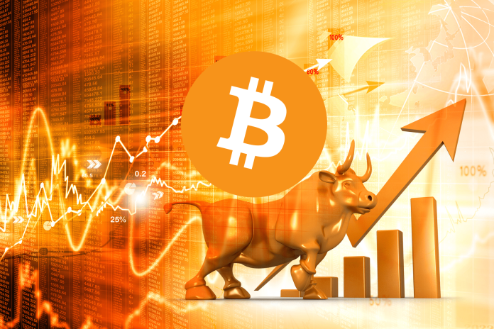 Picture of a bitcoin logo with a gold bull behind it and an upward pointing arrow