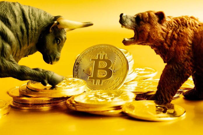 Bull and bear fighting over bitcoins