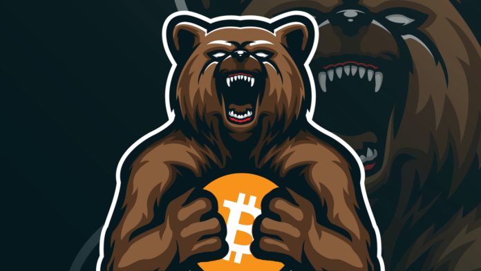 Bear holding bitcoin
